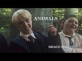 ANIMALS DRACO MALFOY