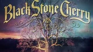 Dancin&#39; In The Rain (feat Warren Haynes)-Black Stone Cherry
