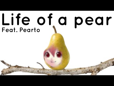 Life Of A Pear - Feat. Kasane Teto