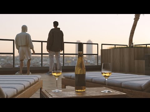 AL Kareem & morten - 24 (Official Video) (prod. PressPlay)