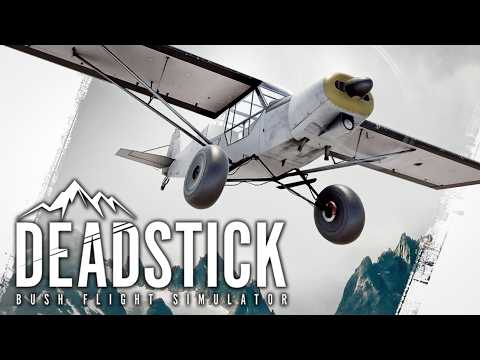 I Thought This Was Just Another Flight Sim