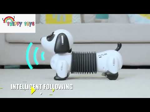Robot Dog RC. Intelligent following remote control