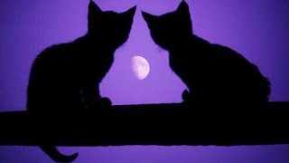 Atmosphere . 4:30 am