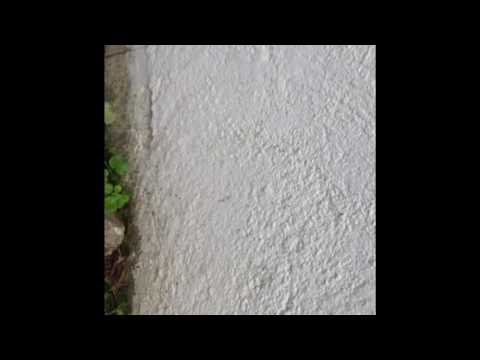 Ants in Navesink, NJ crawl up foundation into Home