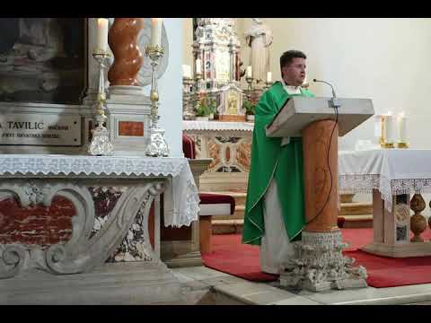 Pater Arek Krasicki, CSSp : O izgubljenim prilikama(Mt 21, 28-30)