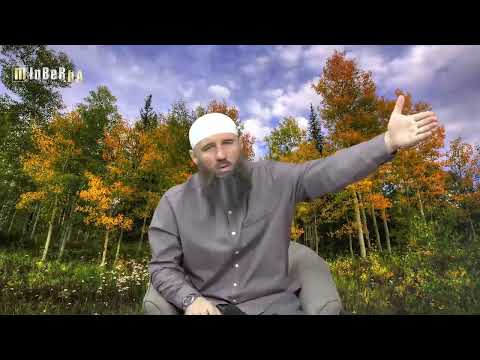 Da li je osoba koja se vraća iz inostranstva musafir kada dođe svojoj kući? - Elvedin Pezić