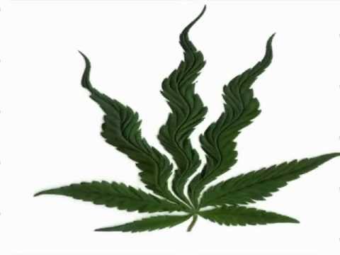 STROMY ft.MŁODY BWE-Zapal z Nami