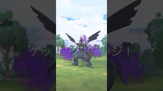 ⚠️シャドウゼクロム🐲⚡個体値ガチャ✨ #ポケモンgo #pokemongo #pokemongoshorts