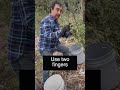 Easy Way to Harvest Olives #shorts