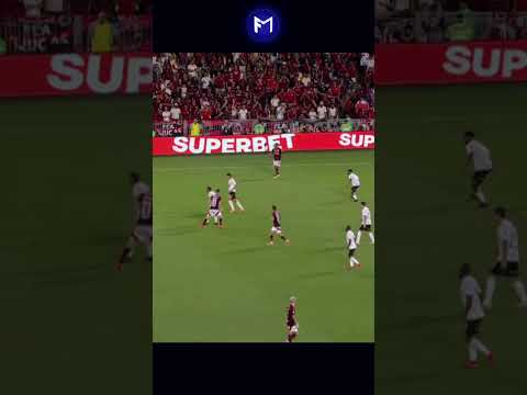 FLAMENGO É CAMPEÃO COM GOL DO APAIXONADO SAMU LINO