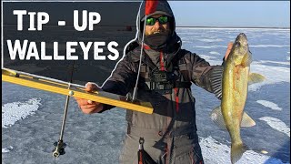 Catching TONS of First Ice Walleyes On TIP-UPS