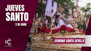 Download lagu 🔴EN DIRECTO: Jueves Santo | Semana Santa de Sevilla 2026 mp3