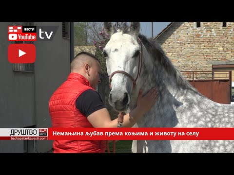 Немањина љубав према коњима и животу на селу