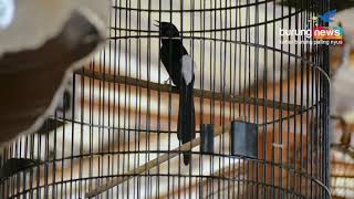 Download lagu AKSI MURAI BATU GAJAH MADA BERHASIL MONCER DI EVEN ANNIVERSARY KRUCIL mp3