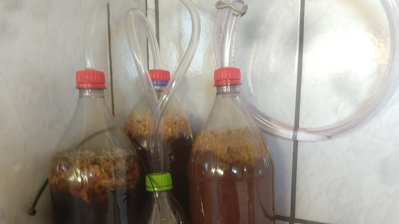 Coleta de Microorganismos Eficazes - vídeo 3