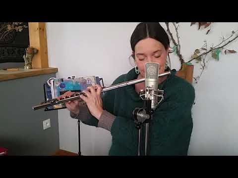 Irish Music on Silver Flute : Waverly (composed by Bruce Molsky) & Ríl Máirtín Sheamuis