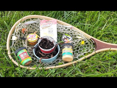 Top 5 Bait Choices for Trout Fishing! (amateur to professional)