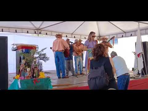 Folia de Reis de Vargem Bonita-MG 