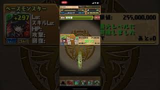 セリカの髪型に可能性を感じる【パズドラ】