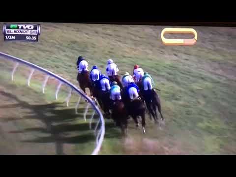 W,L MCKNIGHT (G STAKES) 1/27/18 - OSCAR NOMINATED !!!