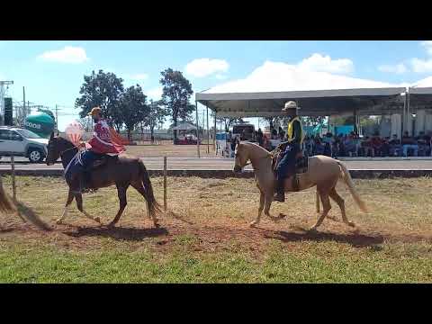 Égua Jovem de Marcha Batida.  IV COPA DE CÓRREGO FUNDO-MG. 
