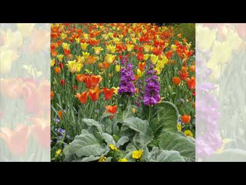 Promotional video thumbnail 14 for Sounds of Laura: Great Piano Music
