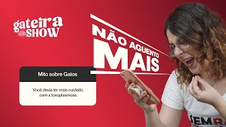 Toxoplasmose e Gatos (MITO) | Gateira Live Show #009