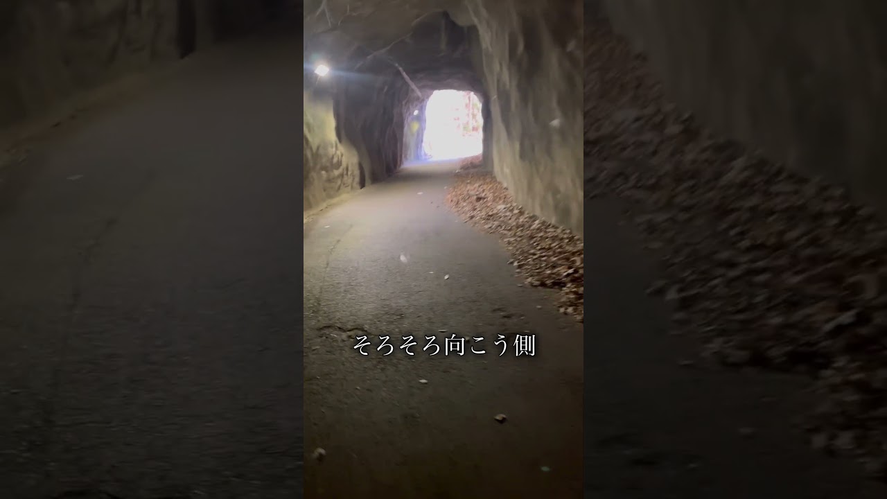 吊り橋の向こう　#shorts