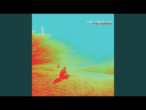 Video thumbnail for Butterfly, How Long It Takes to Die