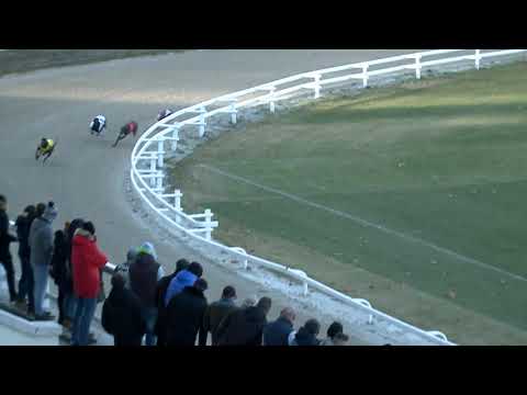 2021.12.04. 03. futam - Mester Tréner Díj