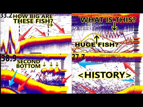 Sonar for Beginners! Fish finders for Dummies! MORE Lessons added PLUS SIDE SCAN Explained. Simrad