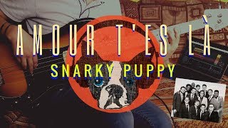 Snarky Puppy feat Magda Giannikou Amour T&#39;es Là-(Cover Bass Luis Ortiz Usa🎧)