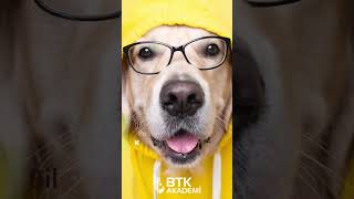 #bilisim sektöründe pozisyonlara göre karakter özellikleri! #BTKAKADEMİTV