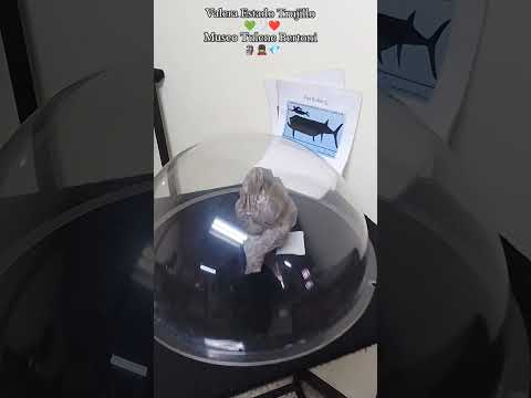 Museo de Valera 🇻🇪💂🖼️ #trujillo #venezuela