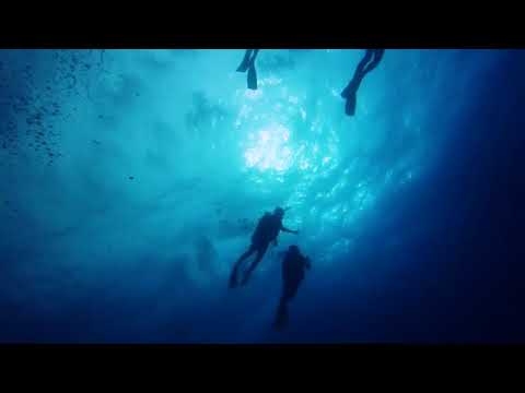 Vincenzo   Just Like Heaven feat  Minako Underwater Music Video