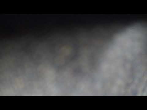 Sterly Bo Feat. D One - Trust No One