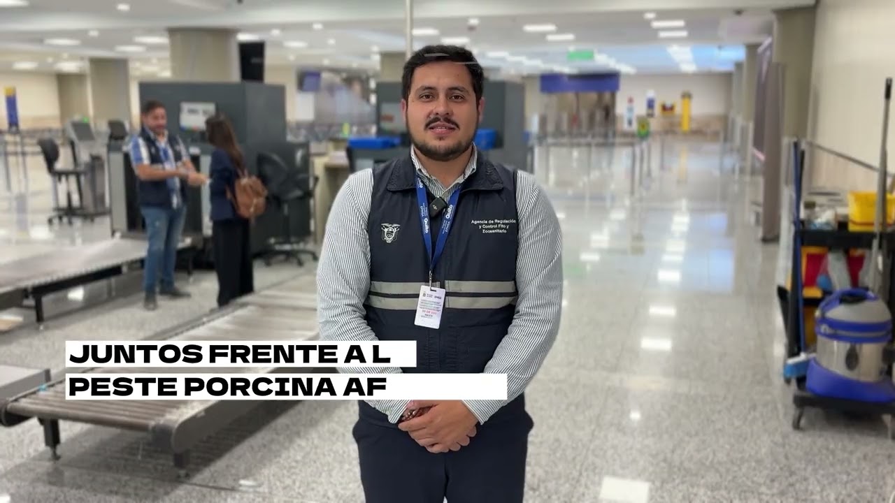 2025, un año de avances en la Comunidad Andina