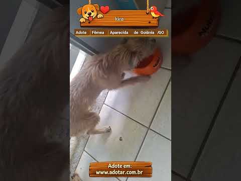 Vídeo de kira