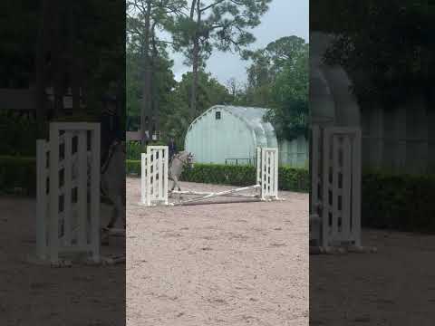 Pea Pod video 1