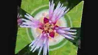 Chakra Meditation- Heart