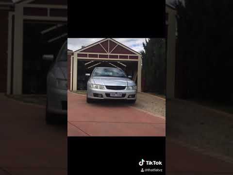 My 2004 Holden vz berlina