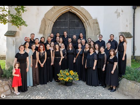 Bach Ensemble & Capella Coronensis @ Musica Barcensis  2024 Prejmer-Tartlau