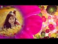 Hamare Baad Tumhe Apna By Dilnawaz Khan