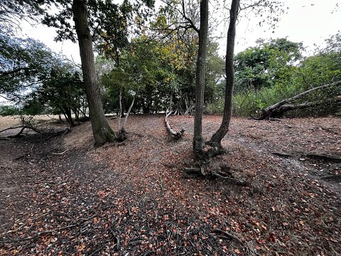 Franklin's Island Moated Monument Site - Highwood Essex