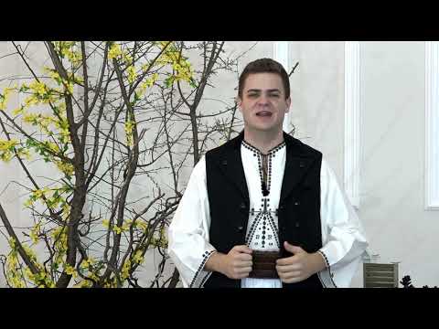 RADU GOTA -  DE-AR CADEA ODATA BRUMA