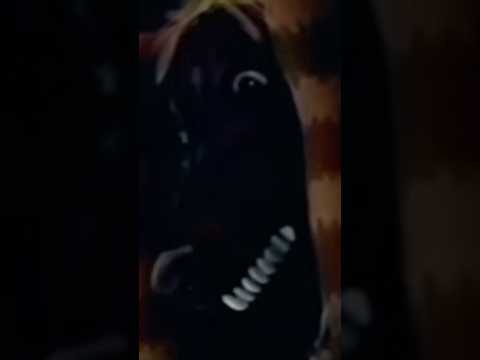 Why I'd Survive This Analog Horror