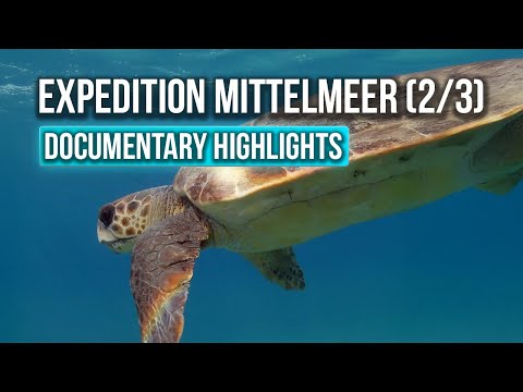 Die letzten ihrer Art – Expedition Mittelmeer (2/3) | Edited by TheMotionArtworks