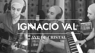 Ave De Cristal (Los Kjarkas) - Ignacio Val (Acoustic Version)