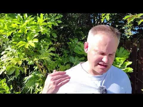 Acts 18:24-28. Apollos Speaks Boldly in Ephesus