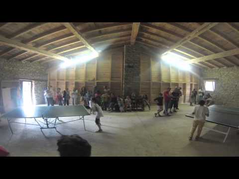 Torneig de ping pong HD